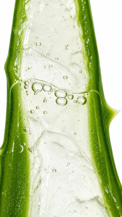 ALOE VERA